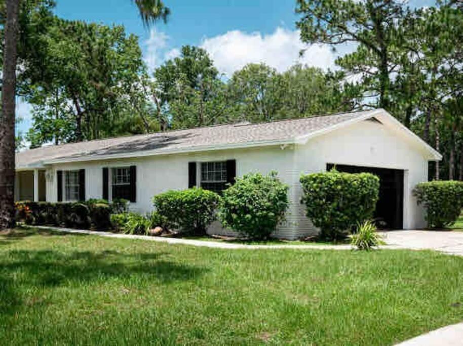 3Bdr2Bath Home In Lutz Close To Tampa, 20 Min To Stadium, Airport Exteriér fotografie