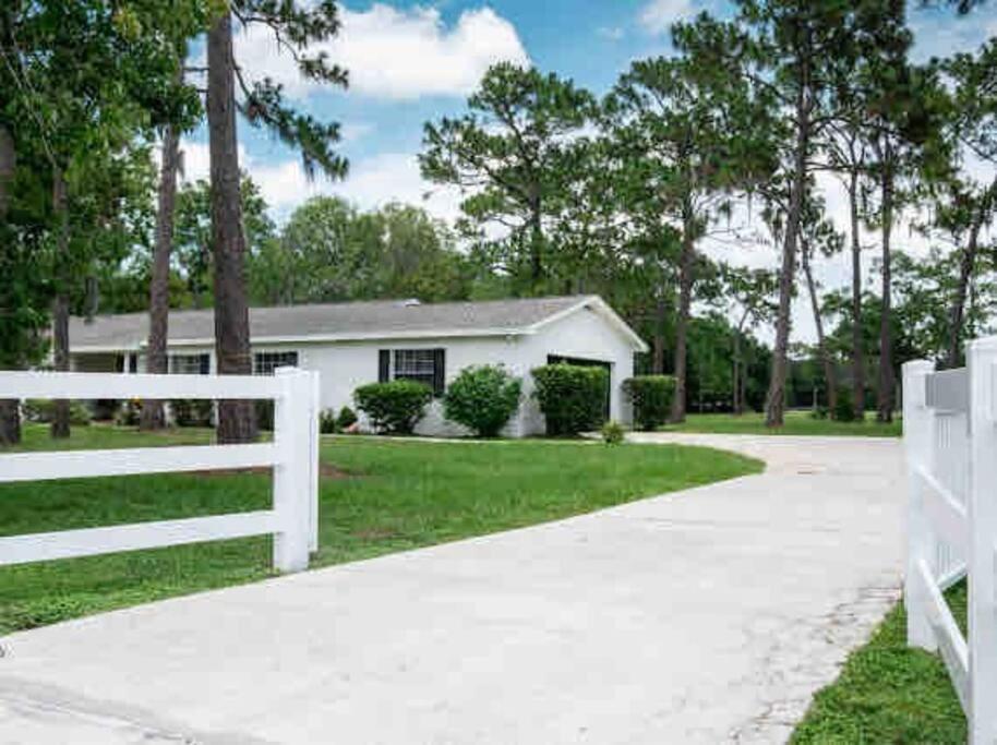 3Bdr2Bath Home In Lutz Close To Tampa, 20 Min To Stadium, Airport Exteriér fotografie